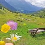 Apartman Beim Raffner, Bergblick, Natur, *